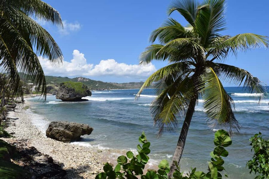 Bridgetown: Wildlife Reserve Tour and Carlisle Bay Cruise - The waterslide is a simple but welcome finish