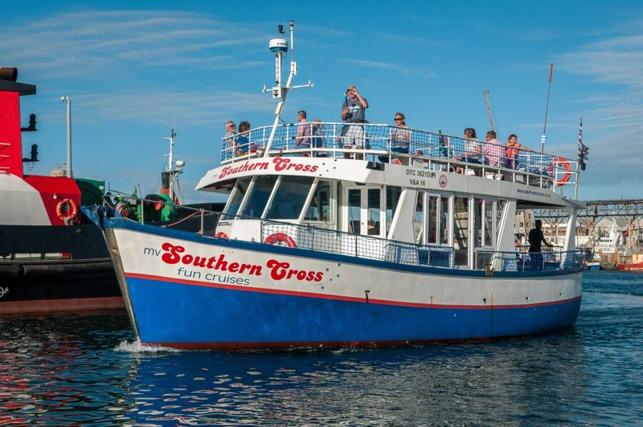 Cape Town: 30 Minute Harbour Boat Cruise with Seal Watching - Key points to know before you go