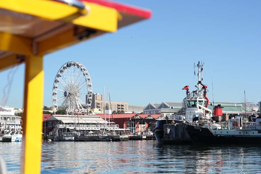 Cape Town: 30 Minute Seal-Watching Harbour Cruise - Practical Details That Matter