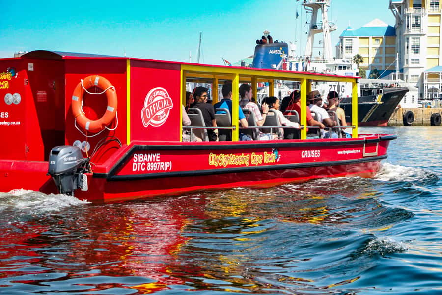 Cape Town: 30 Minute Seal-Watching Harbour Cruise - What the Strongest Praise Tells You