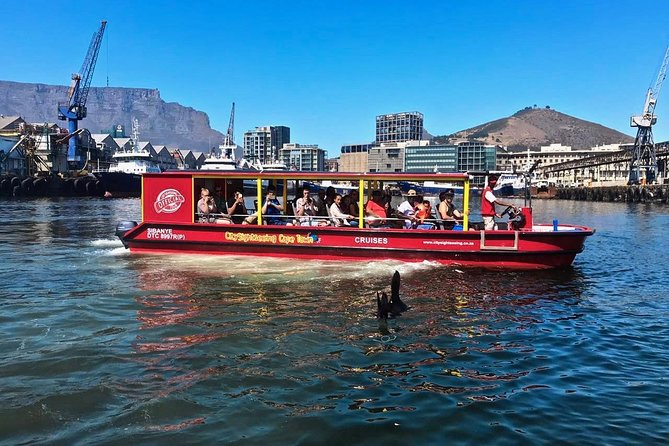 Cape Town 30-minute V&A Harbour Cruise - A quick look at Cape Town from the water