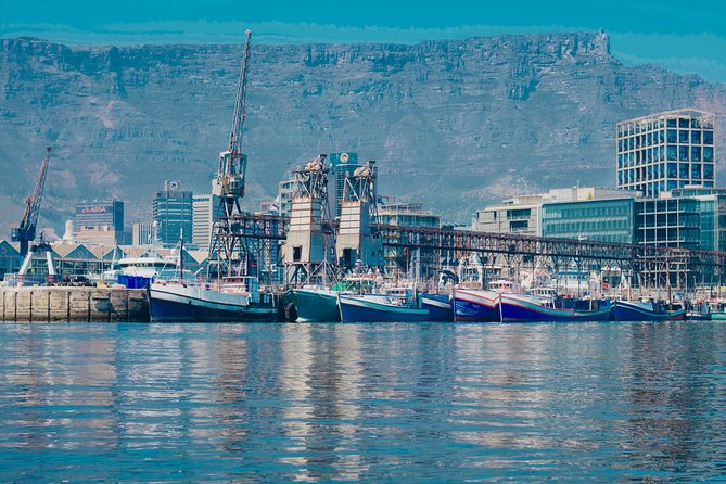 Cape Town 30-minute V&A Harbour Cruise - The 30-minute route, stop by stop