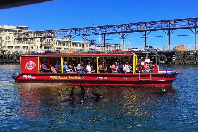 Cape Town 30-minute V&A Harbour Cruise - What you see in the first few minutes