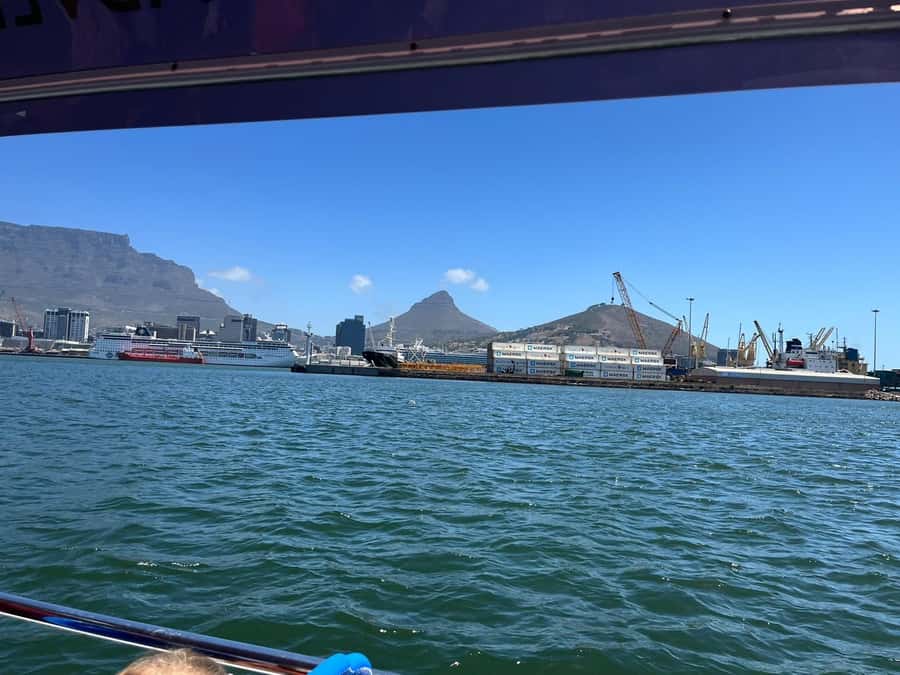Cape Town: Harbor Cruise - Key points at a glance