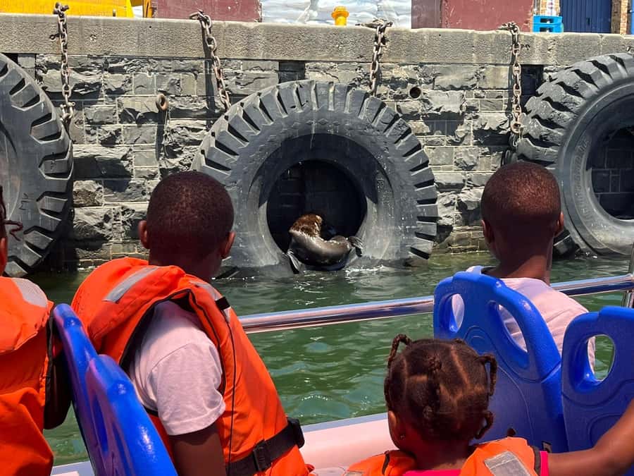 Cape Town: Harbor Cruise - Watching seals and seabirds around the buoys