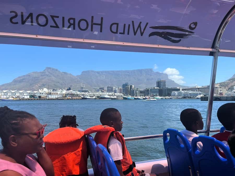 Cape Town: Harbor Cruise - Table Mountain from the water