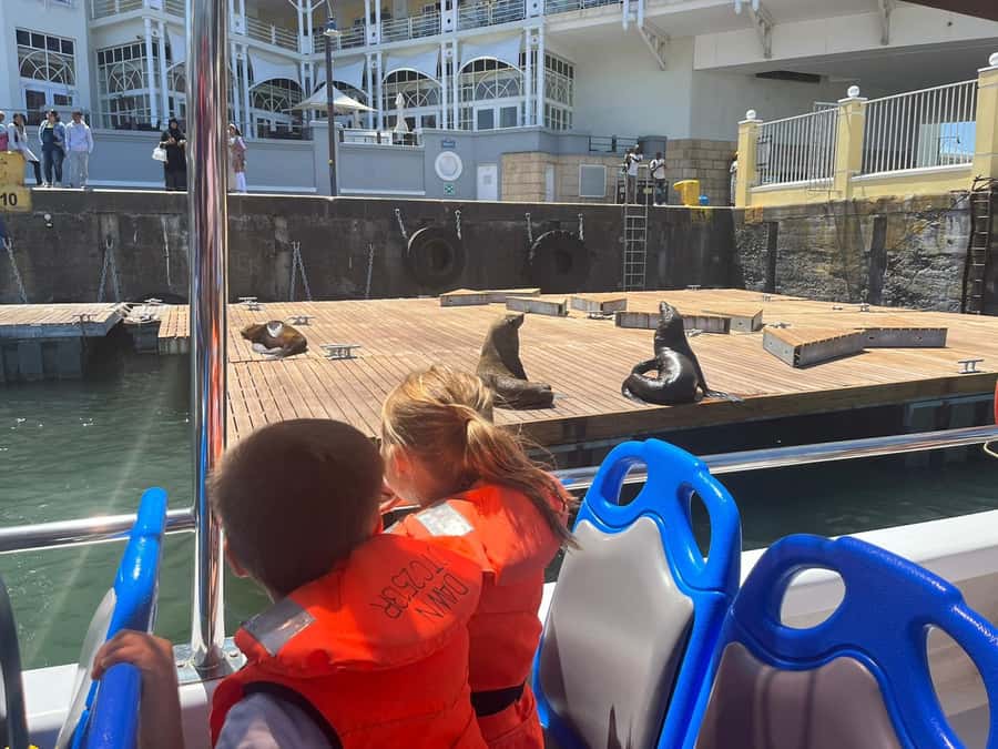 Cape Town: Harbor Cruise - Price, timing, and overall value