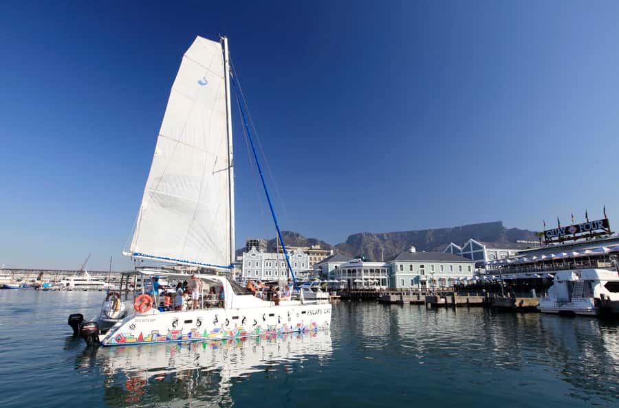Cape Town: Table Bay Cruise by Catamaran - Why a one-hour sail works in Cape Town