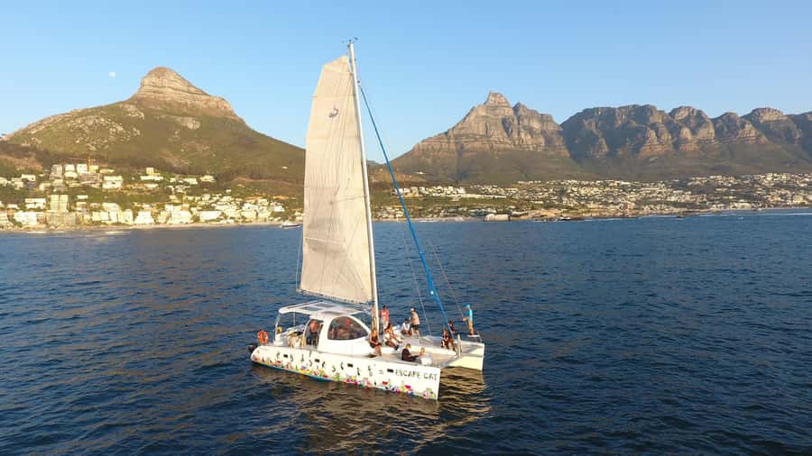 Cape Town: Table Bay Cruise by Catamaran - Table Mountain from the water
