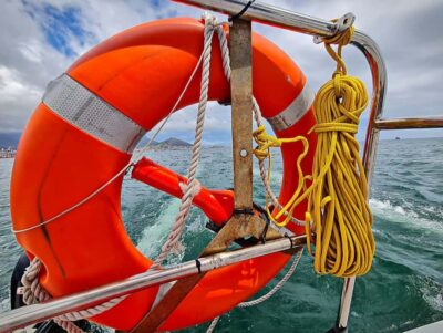 Table Bay Cruise by Catamaran