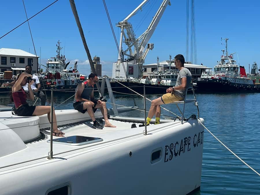 Cape Town: Table Bay Cruise by Catamaran - The main drawbacks to consider