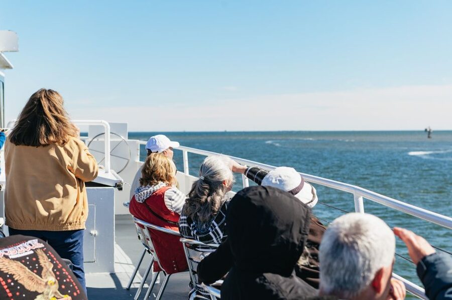 Charleston: Daytime or Sunset Historic Harbor Cruise - Fort Sumter and the story of the Civil War