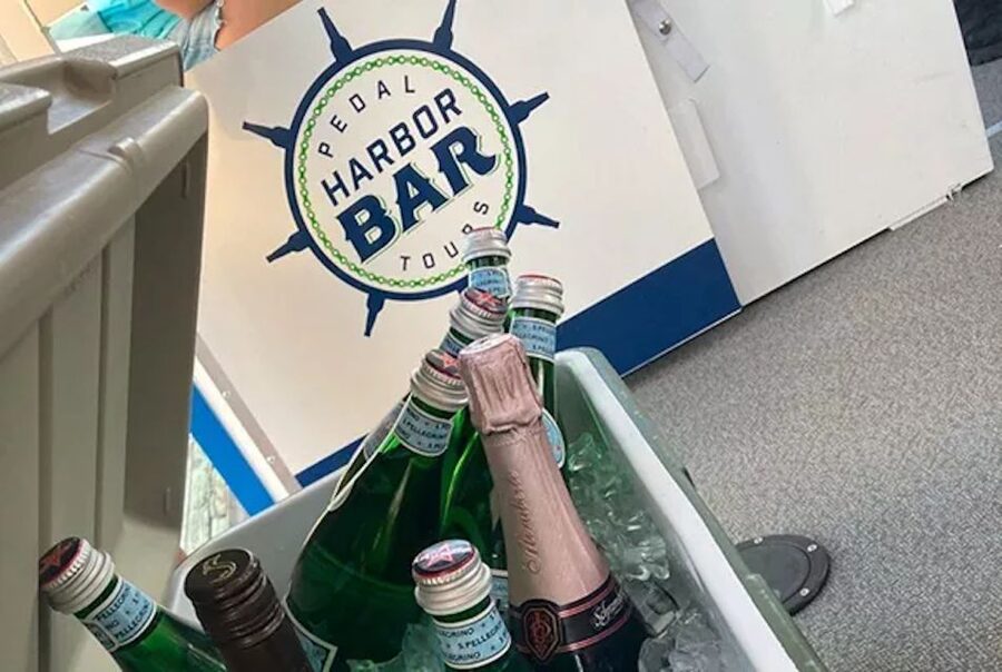 Charleston: Harbor Bar Pedal Boat Party Cruise - Pedaling with 12 stations