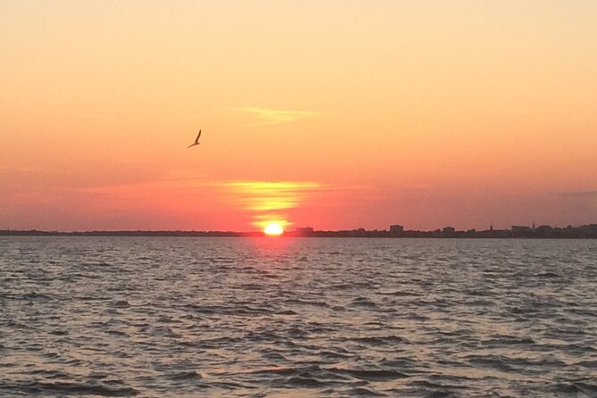 Charleston Harbor Sunset Cruise - Charleston’s Forts, Battery, and Waterfront From the Harbor