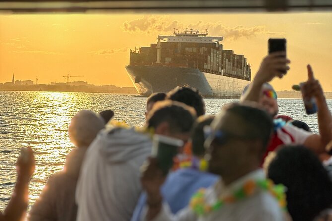 Charleston Harbor Sunset Cruise Scenic Views and Dolphin Spotting - Why a Charleston sunset cruise works so well