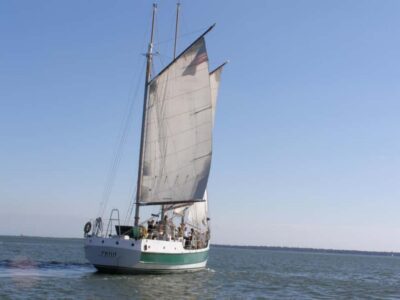 Schooner Sailing Harbor Tour & Dolphin Watch