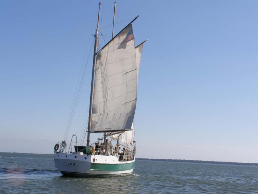 Charleston: Schooner Sailing Harbor Tour & Dolphin Watch - Raising the sails gives the ride a purpose
