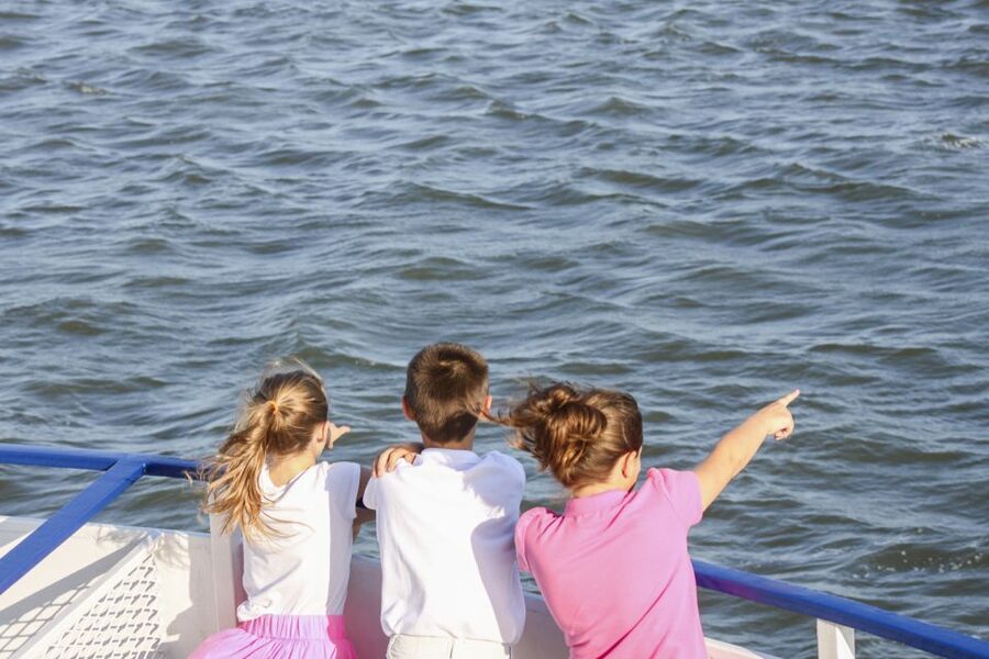 Charleston: Sightseeing Harbor Tour & Dolphin Watch - The Battery and Charleston’s waterfront character