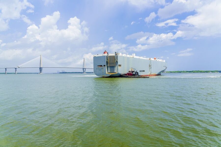 Charleston: Sightseeing Harbor Tour & Dolphin Watch - The guide makes or breaks the experience