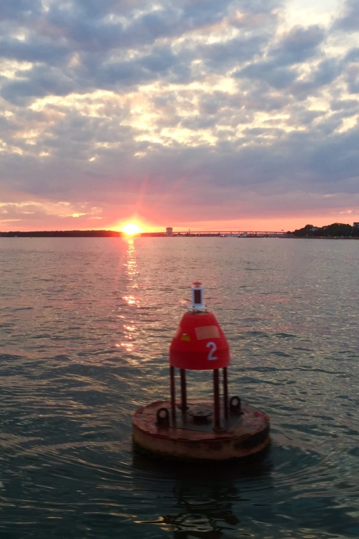 Charleston: Sunset Harbor Cruise - Dolphins, shore birds, and the luck factor