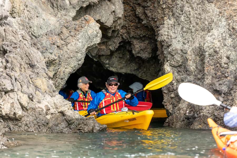 Christchurch: Sea Kayaking Tour of Lyttelton Harbour - Key points at a glance