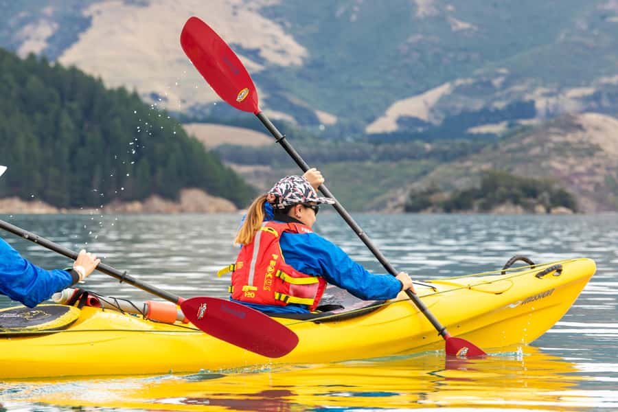 Christchurch: Sea Kayaking Tour of Lyttelton Harbour - Following the harbour’s coves and cliffs