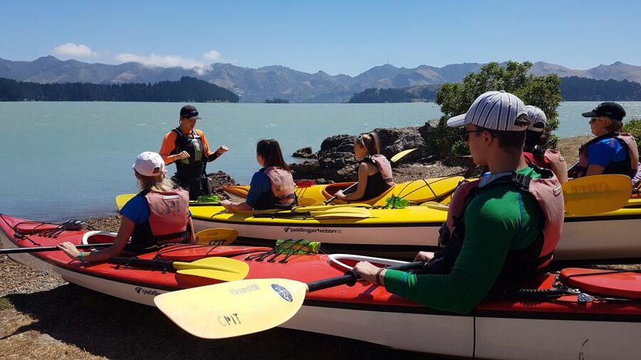 Christchurch: Sea Kayaking Tour of Lyttelton Harbour - Passing the ship graveyard