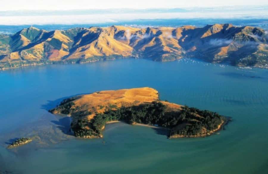 Christchurch: Sea Kayaking Tour of Lyttelton Harbour - Lunch, snacks, and a slower hour on shore