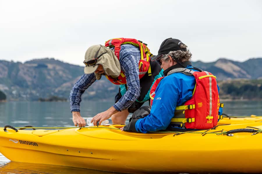 Christchurch: Sea Kayaking Tour of Lyttelton Harbour - Is $268 good value for eight hours?
