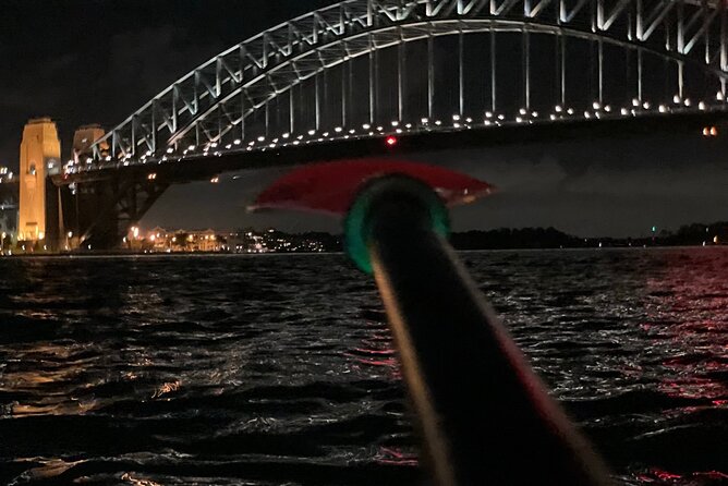 City Lights by Night Paddle on Sydney Harbour Guided Tour - The Opera House from water level