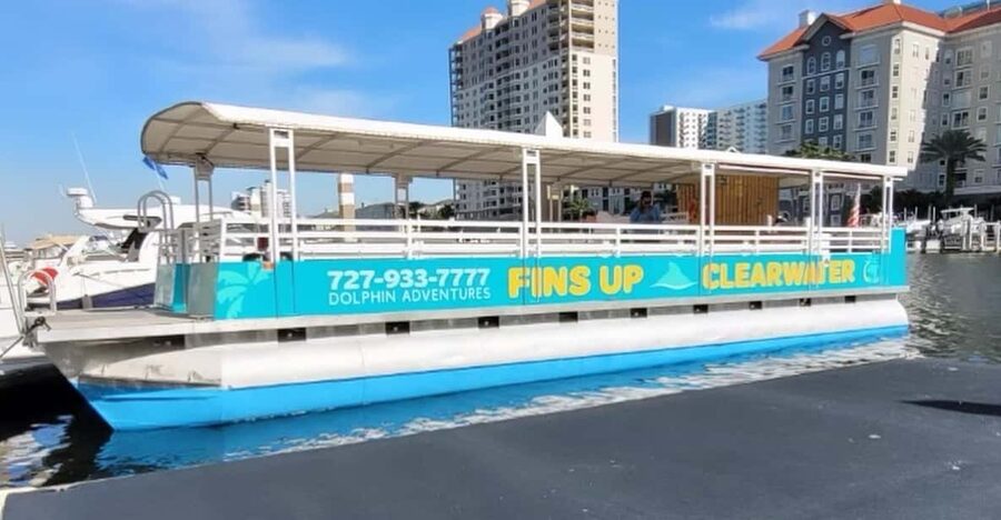 Clearwater Beach: Sunset and Harbor Lights Cruise - Dolphin watching along the Gulf