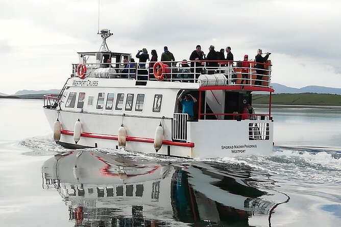 Clew Bay Cruise, Westport ( 90 minutes ) - The seal colony changes the pace