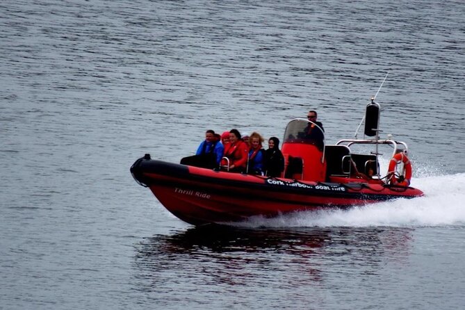 Cork Harbour RIB Tour - Why a RIB is a good match for Cork Harbour