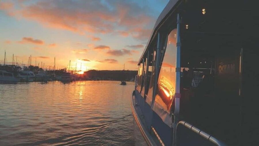 Dana Point: Evening Harbor Wine Cruise with snacks - A Wine Host and Possible Live Music