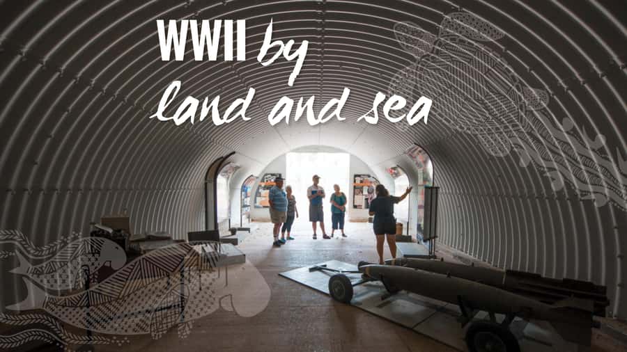 Darwin: Bombing of Darwin WW2 Tour with Harbor Cruise - Is $105 good value?