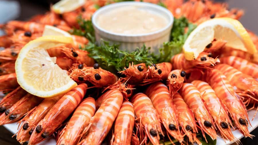 Darwin: Darwin Harbor Sunset Cruise with Buffet Dinner - Practical tips for a smoother evening