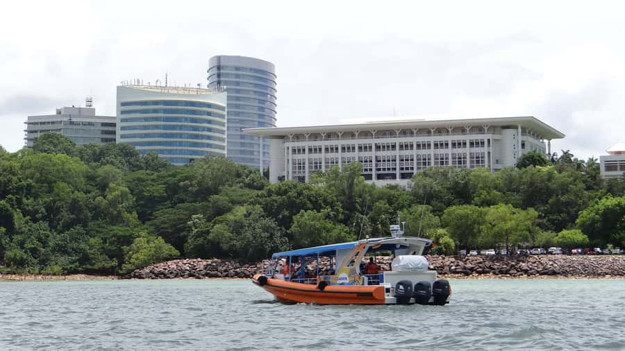 Darwin Harbour Cruise - Mangroves, birds, and the changing tide