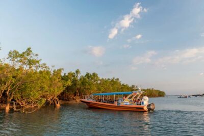 Darwin Harbour Cruise