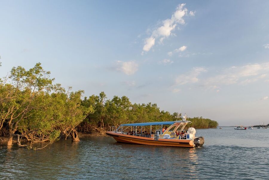 Darwin Harbour Cruise - What the one-hour format really gives you