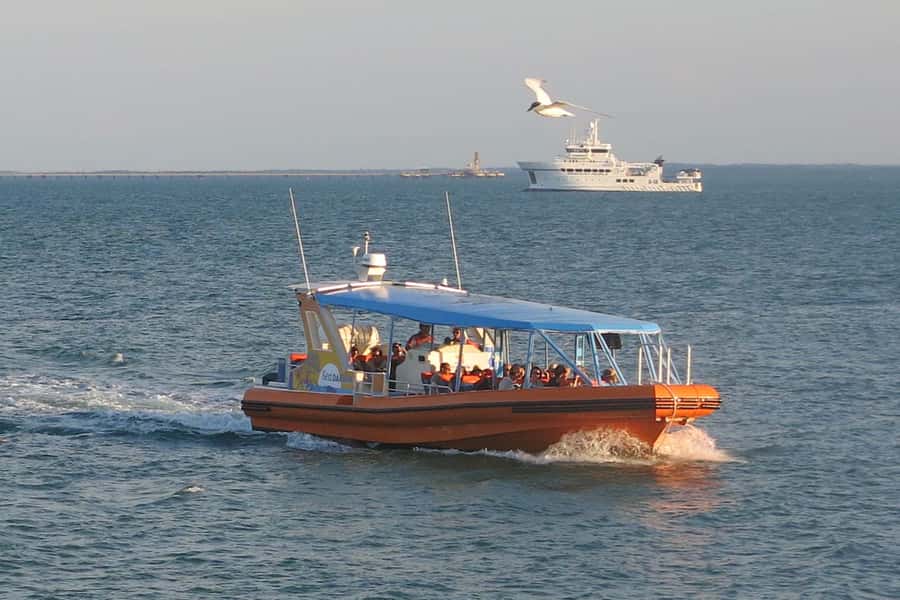 Darwin Harbour Cruise - Practical tips for a smoother hour