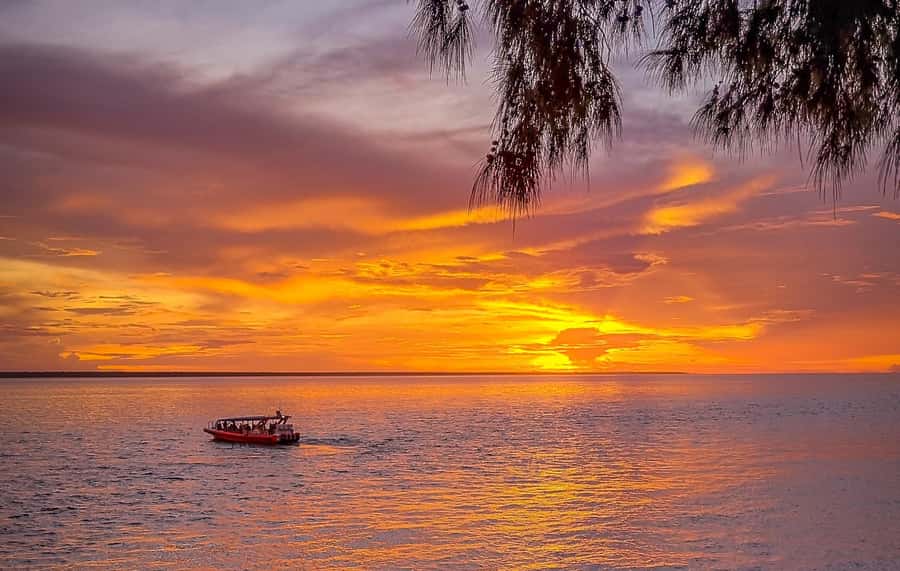 Darwin: Sunset Harbour Cruise with Fish and Chips Dinner - Key points to know before you book