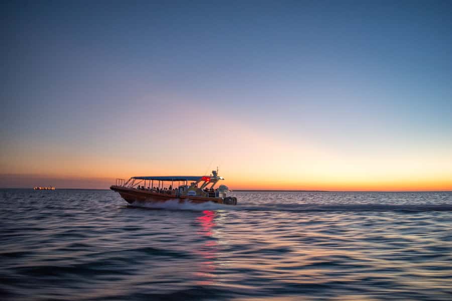 Darwin: Sunset Harbour Cruise with Fish and Chips Dinner - Who will enjoy this Darwin evening most?