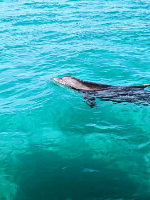 Destin: Public 3 Hour Crab Island and Harbor Tour - Two hours at Crab Island