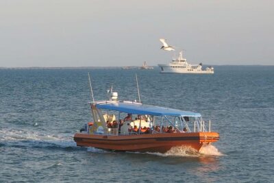 Discover Darwin Harbour 1 hour Darwin Harbour Cruise