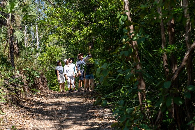 Discover Darwin Harbour 1 hour Darwin Harbour Cruise - Is €38.58 good value for one hour?