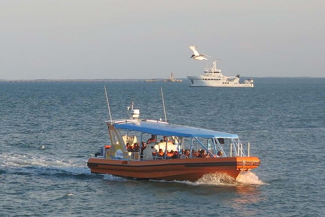 Discover Darwin Harbour 1 hour Darwin Harbour Cruise - Boarding at Stokes Hill Road
