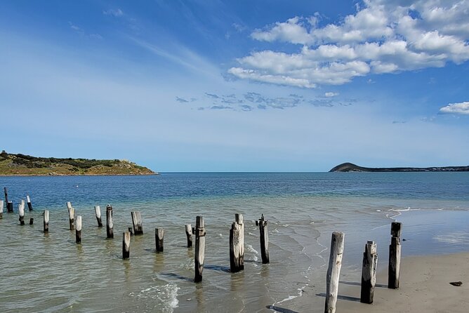 Discover Victor Harbor Walking Tour - Key points at a glance