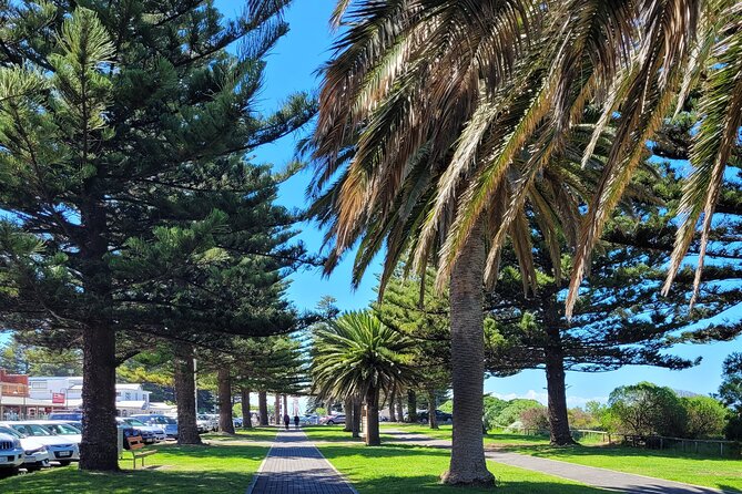 Discover Victor Harbor Walking Tour - Why this short Victor Harbor walk is worth your time