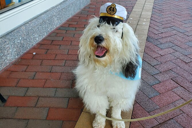 Dog Day of Summer Harbor Cruise in Boston - Commentary Adds Context, but Keep Your Expectations Reasonable