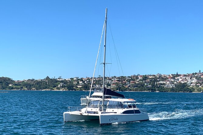 Dogs on Deck Harbour Cruise - Food, drinks, and the real value of $49.49